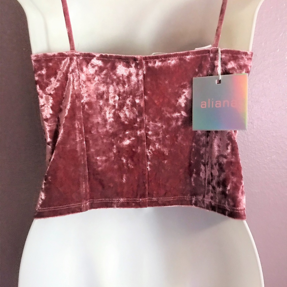 NWT Aliana | pink velvet top - Picture 3 of 8